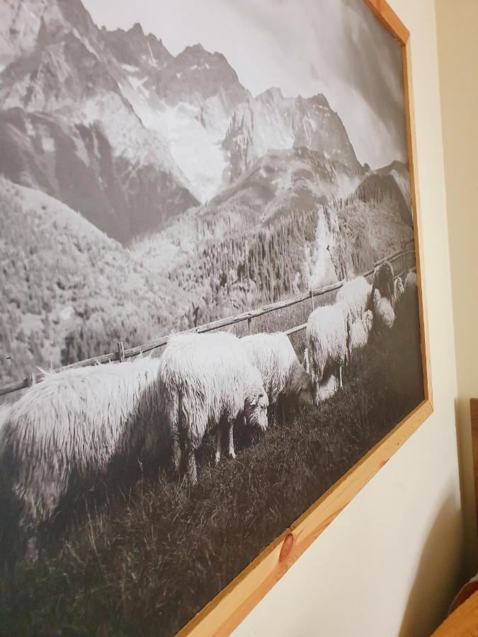 Apartament Izba W Centrum Zakopane Exteriör bild