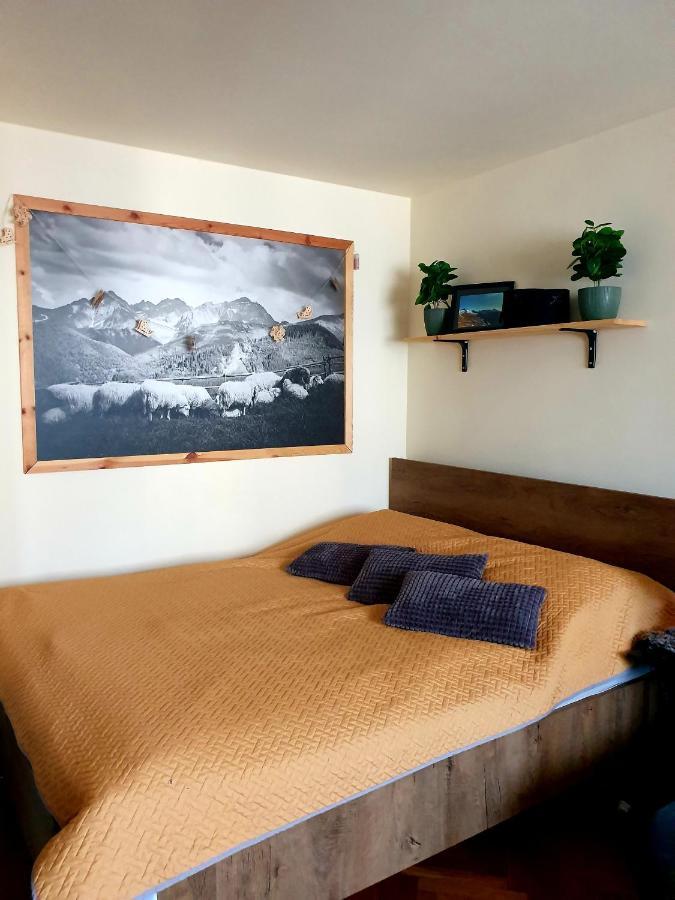 Apartament Izba W Centrum Zakopane Exteriör bild